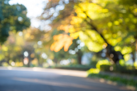 Abstract blur autumn season city park bokeh backgroundの写真素材