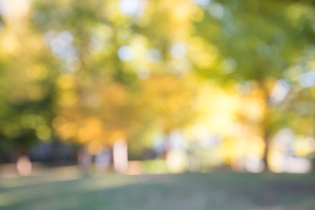 Abstract blur autumn season city park bokeh backgroundの写真素材