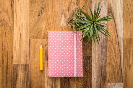 Pink notepad and tillandsia on wooden table topの写真素材