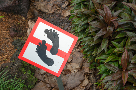 Please do not step in plants signの写真素材