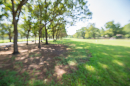 Abstract blur city park bokeh backgroundの写真素材