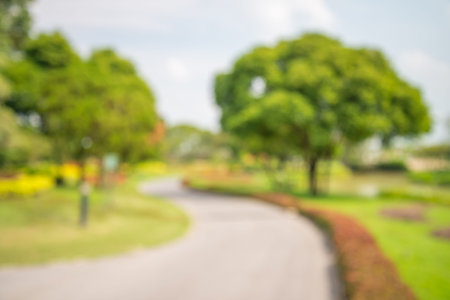 Abstract blur city park bokeh background