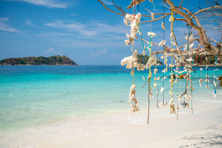 Shell hanging mobile in beautiful tropical island beach south Andaman, Satun Thailand - Selective focusの写真素材