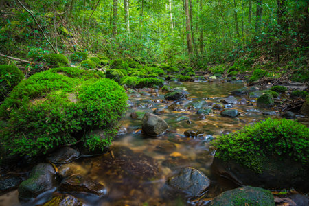 Cascade falls over green mossy rocks in Phukradung national park Thailand