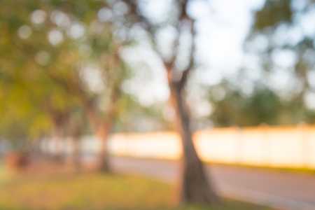 Abstract blur street in city park with warm sunlight in morning backgroundの写真素材