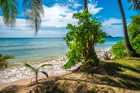 Beautiful tropical island beach - Koh Kood, Trat Thailandの写真素材