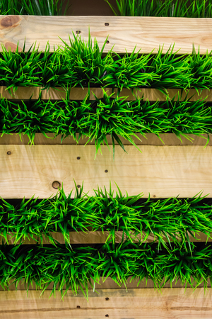 Plastic green grass in wooden wallの写真素材
