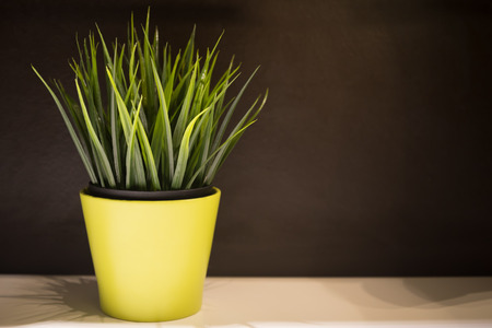 Grass plastic in a yellow pot on table with black wallの写真素材