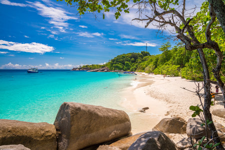 Beautiful tropical Similan island beach -  Thailand