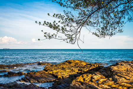 Beautiful beach in island of Thailandの写真素材