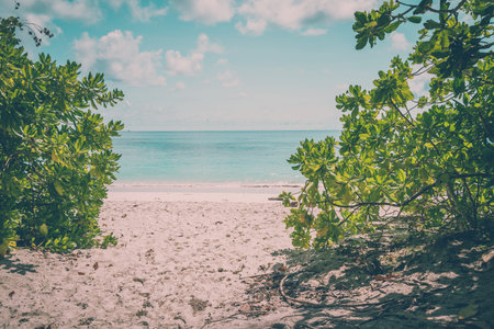 Clear sea beach blue sky and white sand in Koh Tachai island Thailand - Vintage effect style