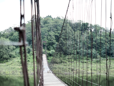 cable bridgeの写真素材