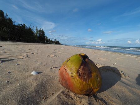 sea and sand  on summer beachの写真素材
