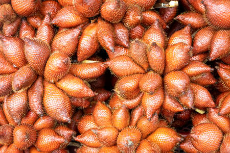 group of salak in marketの写真素材