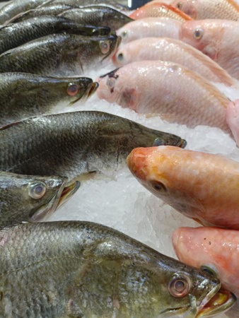 two types of fresh fish in ice in supermarket for meal