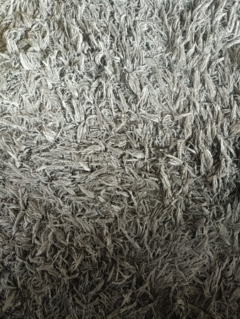 A fluffy rug creates cozy, inviting texture and pattern. warm, soft, and calming, inviting you to sink into comfortの写真素材