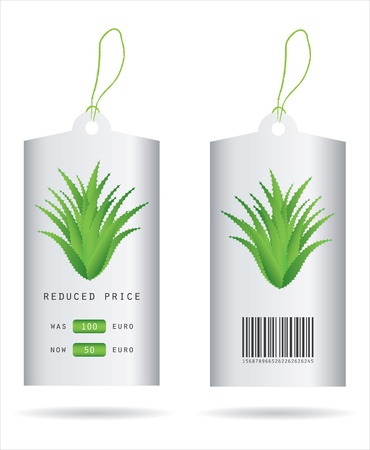 special price tag with aloe vera designのイラスト素材
