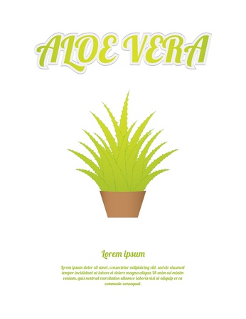 aloe vera backgroundのイラスト素材