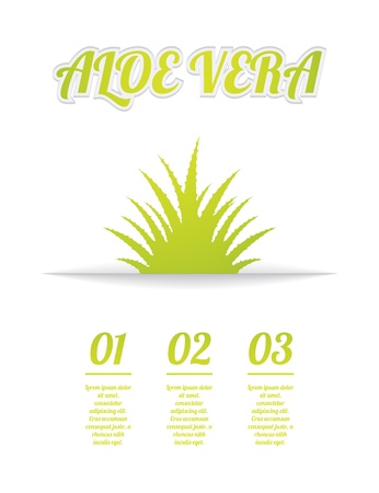 aloe vera backgroundのイラスト素材