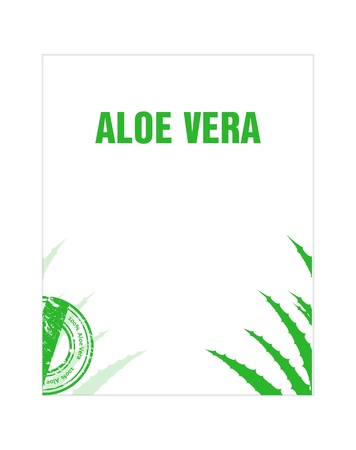 aloe vera flyerのイラスト素材