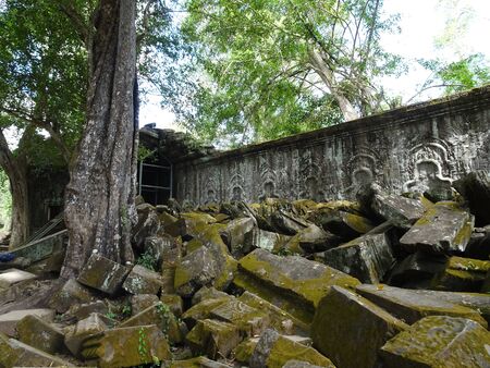 Ancient ruins at Ta Prohm Temple, Siem Reap, Cambodia, Asiaの写真素材