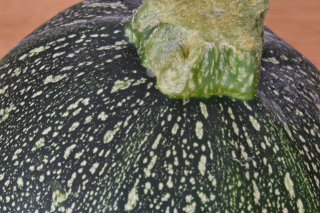 Closeup of a fresh green zucchiniの写真素材
