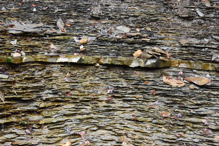 Closeup of a gray stone wall - can be used as a background