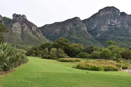 Landscape at the Botanical Garden at Cape Town in South Africaの写真素材