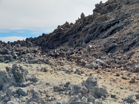 Big black lava stones at the famous Pico del Teide mountain in Tenerife, Europeの写真素材