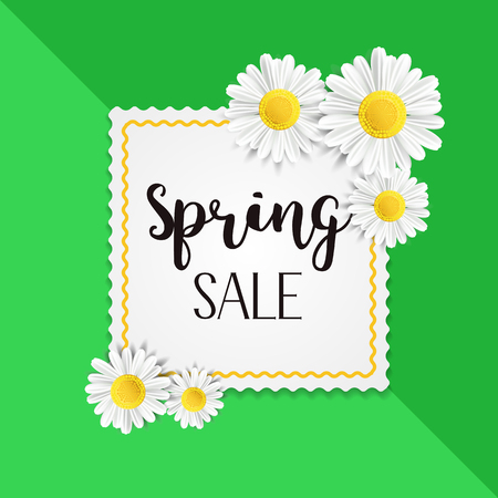 Spring sale background with beautiful white chamomile flowers. Vector illustration template for banner, wallpaper, flyer, invitation, posters, brochure, voucher discount.のイラスト素材