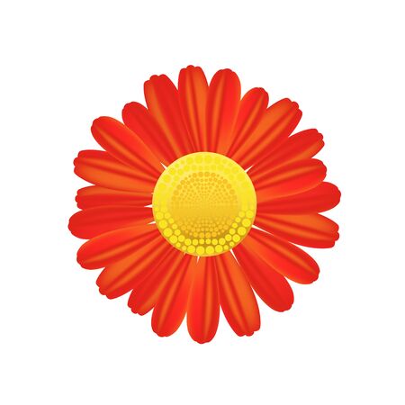 Red flower icon. Colorful solid pattern on a white background.のイラスト素材