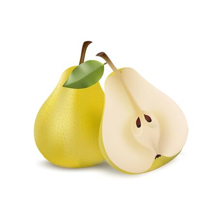 Two yellow pears in modern realistic style isolated on white backgroundのイラスト素材