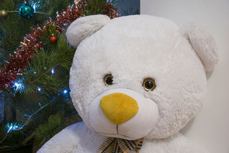 Cute teddy bear over Christmas tree background. Xmas or New year presentの写真素材