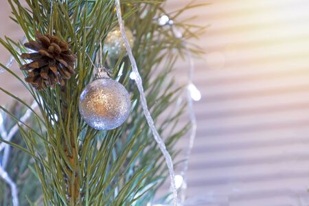 Holiday background. Christmas tree closeup decorated with white ball and real coneの写真素材