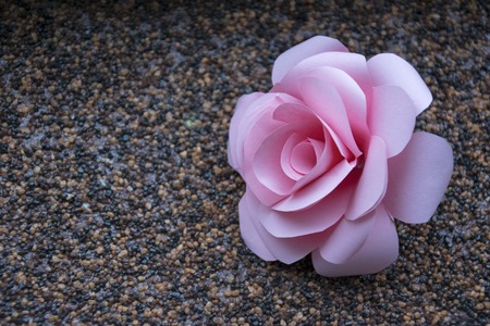 Pastel paper rose wallpaper. Wedding or Valentine day decoration with pink flower background.の写真素材