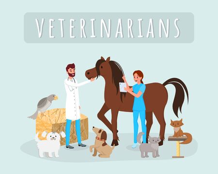 Veterinarians work flat vector illustration. Male, female vets, doctors examining horse, stallion cartoon characters. Veterinary clinic, hospital workers treating cats, dogs, checking animals healthのイラスト素材