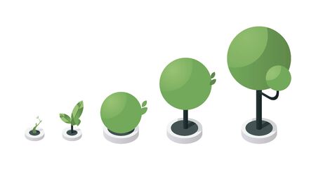 Tree growth stages isometric vector illustration. Green sapling development process steps, plant growing from little sprout to large tree. Gardening, horticulture, biology concept design elementのイラスト素材