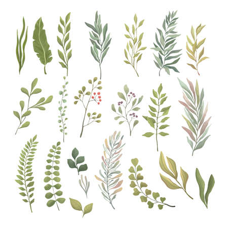 Set of green leaves and branches. Green and fresh summer foliage for the wreath, border, wallpaper design.のイラスト素材