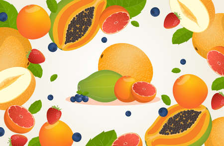 Fresh melons, grapefruits, blueberries, strawberries, and papaya. Fresh tropical fruits and berries vector cartoon illustration.のイラスト素材