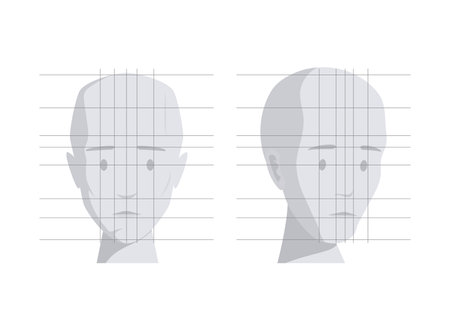 Model of human head in different angles vector flat illustration isolated on white background.のイラスト素材