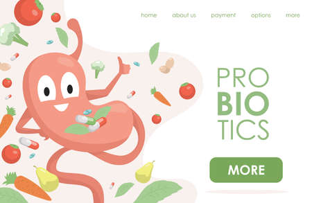 Probiotics vector flat landing page template with text space. Happy stomach showing thumbs up.のイラスト素材