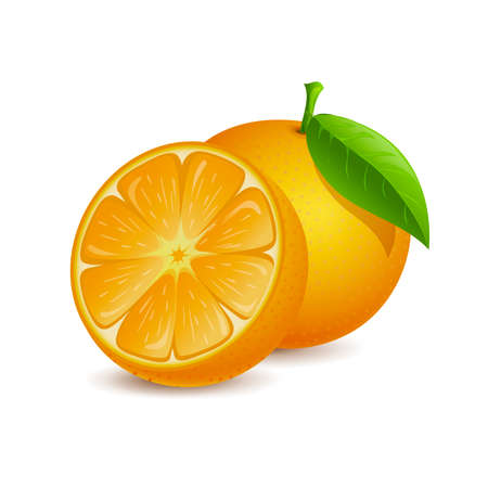 Orange fruit vector cartoon illustration. Fresh whole and half sliced juicy fruit for healthy dieting.のイラスト素材