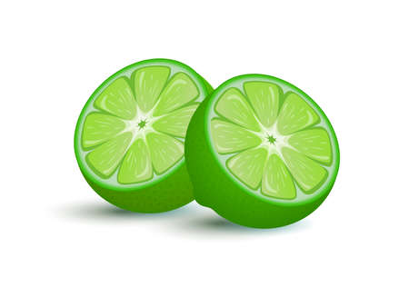 Lime fruit vector cartoon illustration. Exotic citrus full of vitamin c for lemonade, juice, or cocktail.のイラスト素材
