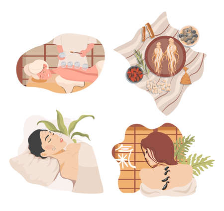 Traditional Chinese or oriental alternative medicine vector flat illustration. Ginseng root, medical herbs, and seeds.のイラスト素材