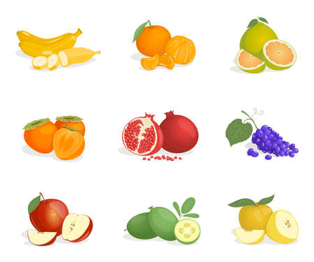 Banana, orange, guava, persimmon, pomegranate, grape, apple, pomelo, and feijoa vector cartoon illustrations.のイラスト素材