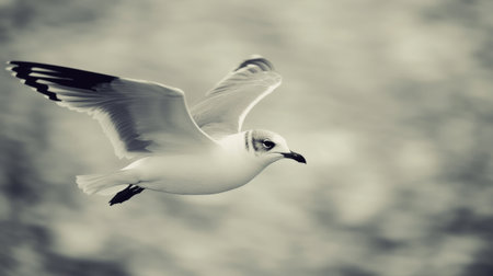 A dynamic shot of a seagull gliding effortlessly over ocean waves, with the wind ruffling its feathers, capturing the essence of freedom at sea.の素材