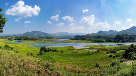 A panoramic view of a thriving rice-growing region, where the diligent labor of farmers sustains a way of life rooted in tradition and reverence for the land.の素材
