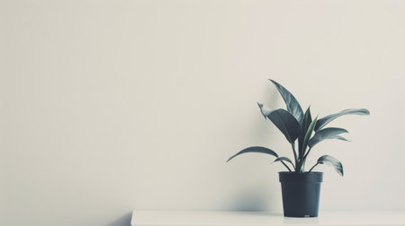 A clutter-free desk with a single potted plant, promoting a minimalist and serene work environment.の素材