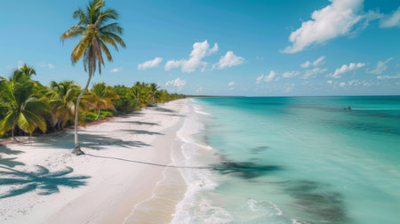 A panoramic view of a tropical beach with white sand, turquoise water, and palm trees swaying in the breeze.の素材