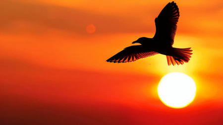 A silhouette of a bird flying against a glowing orange sky during a dramatic sunset.の素材